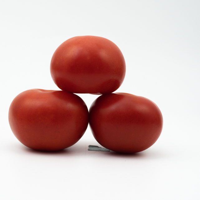 TOMATE DE FRANCE , MAROC , OU HOLLANDE       F