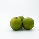 CITRON JAUNE BRESIL LEGUME OU FRUIT        f