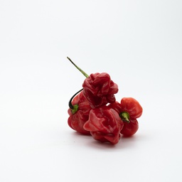 PIMENT ANTILLAIS FRUIT OU LEGUME         f