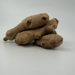 GINGEMBRE   CAMEROUN OU CHINE LEGUME   F