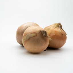 [0000000705049] OIGNON DE FRANCE LEGUME   F